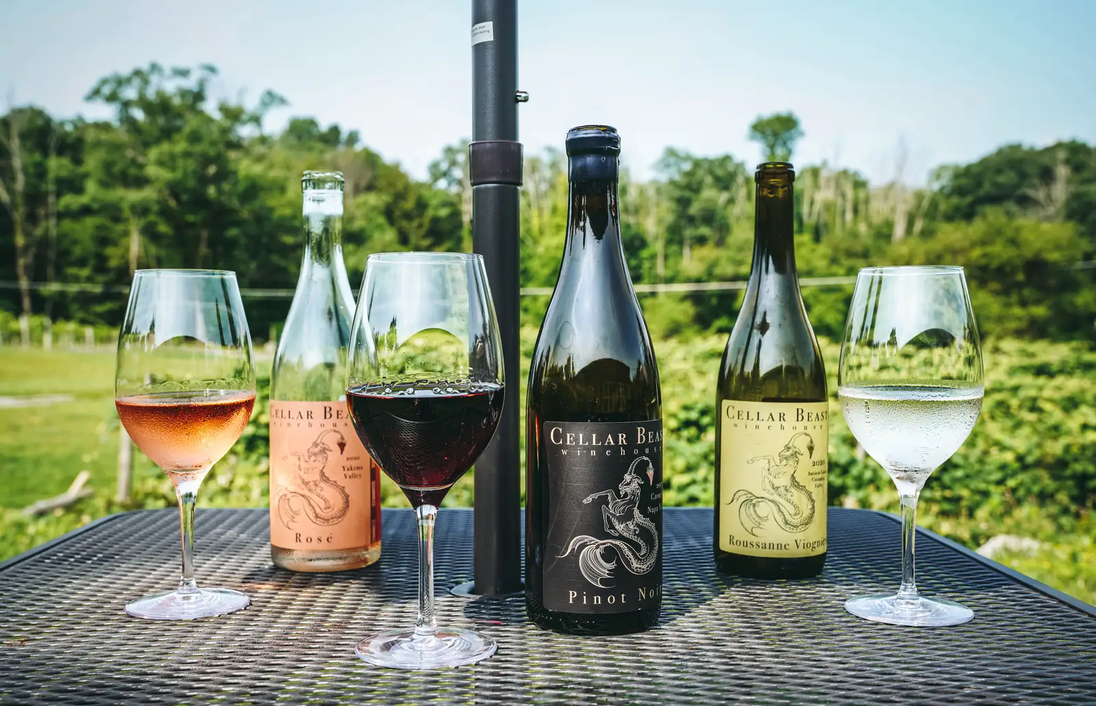 Wine for Beginners: Your Essential Guide to Wine Basics