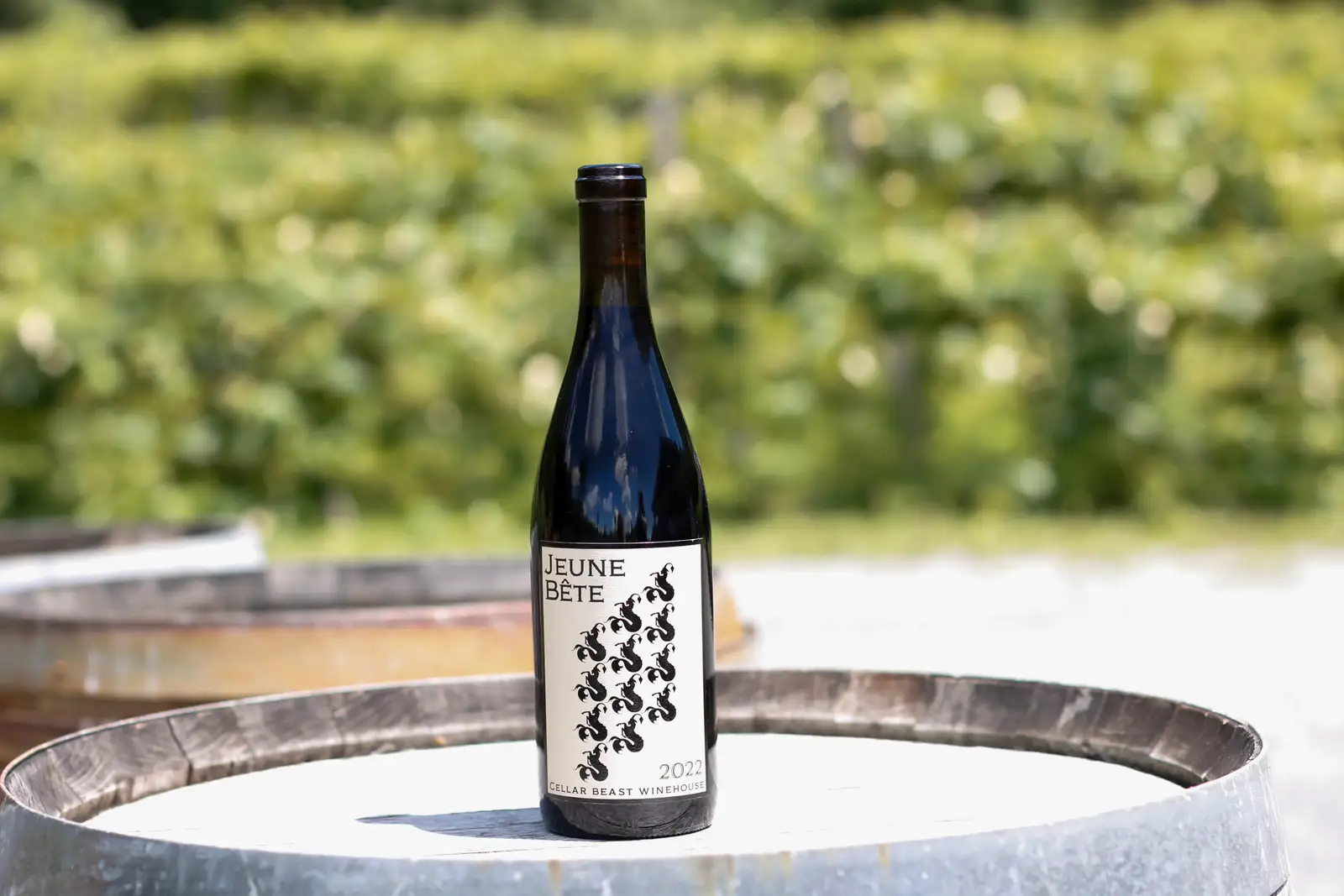 Perfect Pairings for Red Wine: Jeune Bête