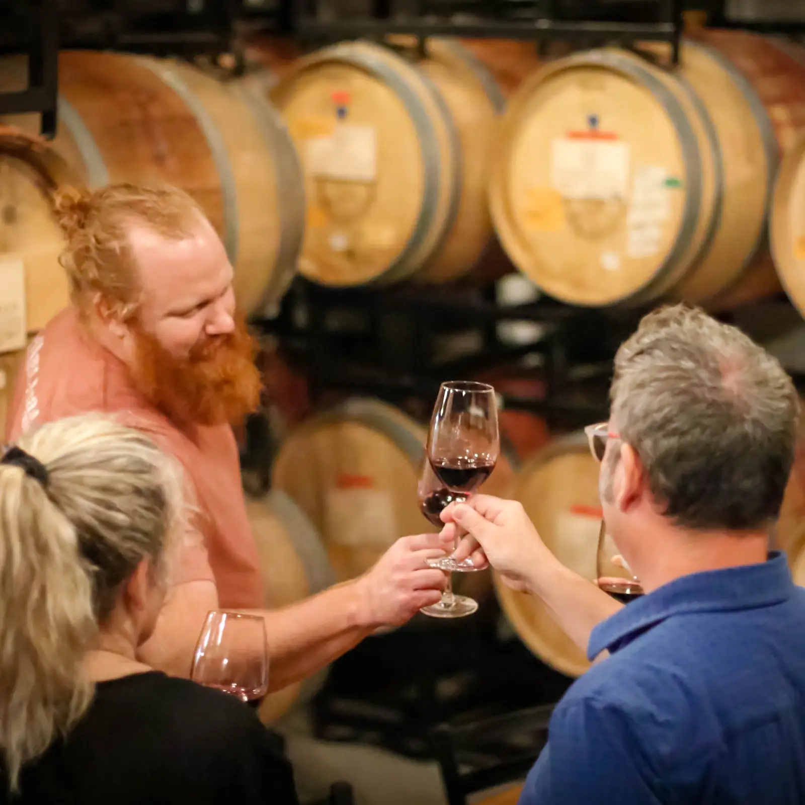 Guided portfolio tasting led by a winemaker
