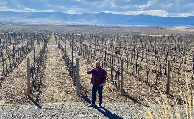 Behind the Scenes: A Day in the Life at Cellar Beast Winehouse Wine Production