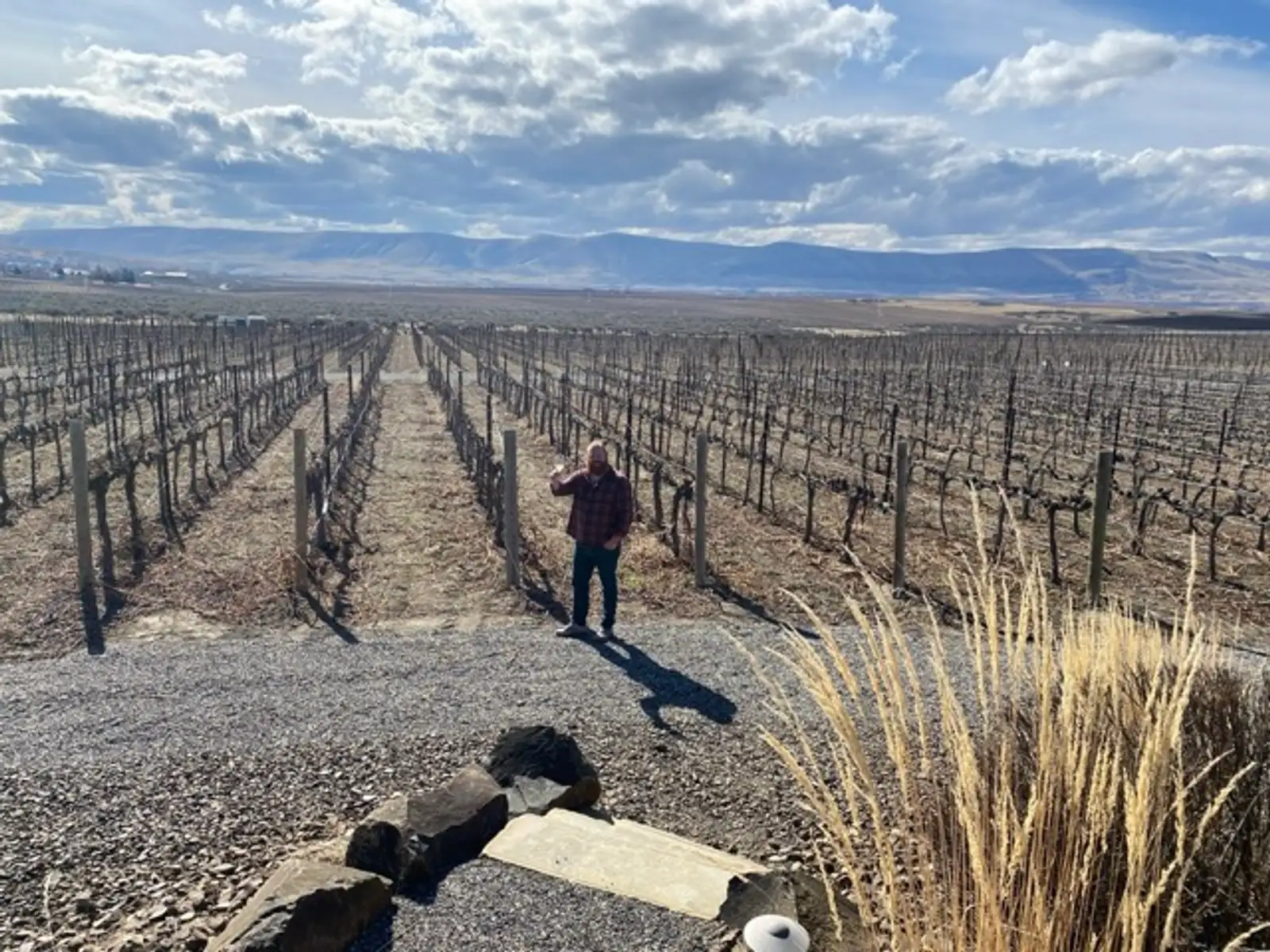 The Cabernet Franc Grape: Taste, Origins & Why Chinon Wine Stands Out