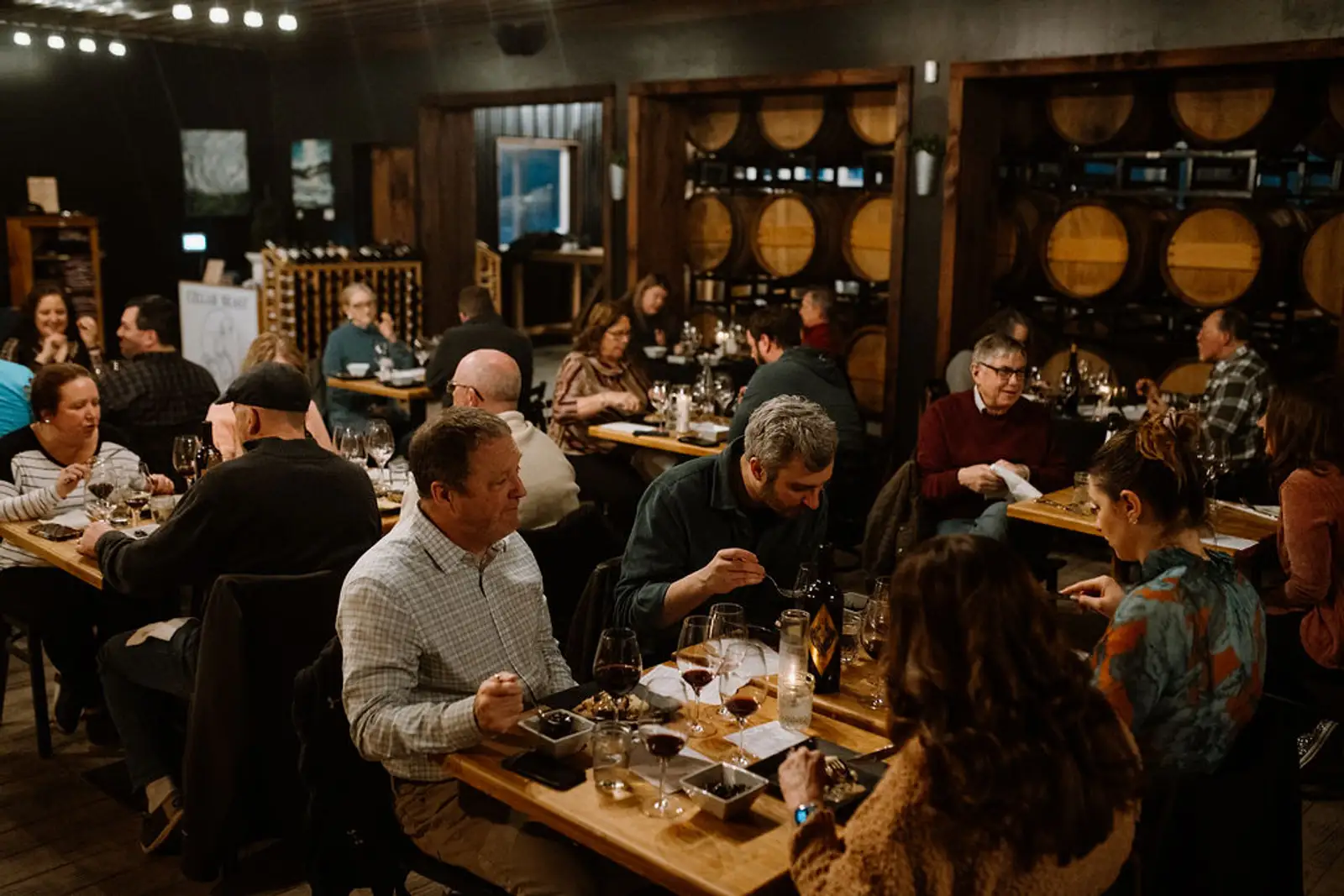 Exploring the Best Red Wines from Cellar Beast