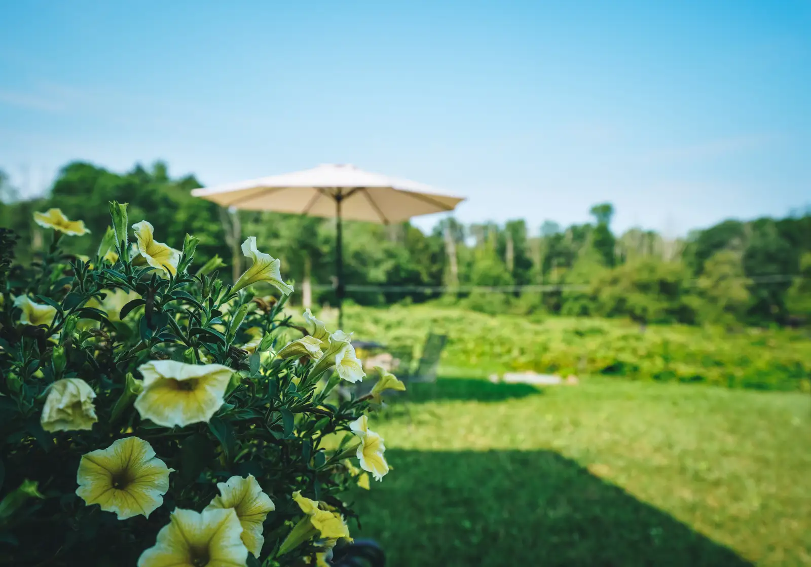 Discover the Best Winery and Wine Tasting Room Near Andreas, PA