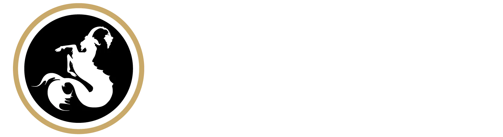 logo horizontal ko